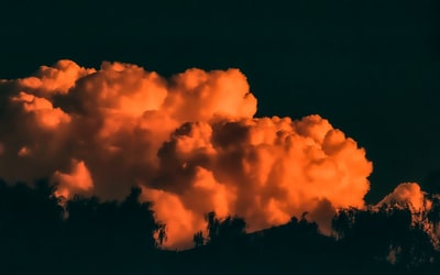 Orange trees of the cloudy sky silhouette
